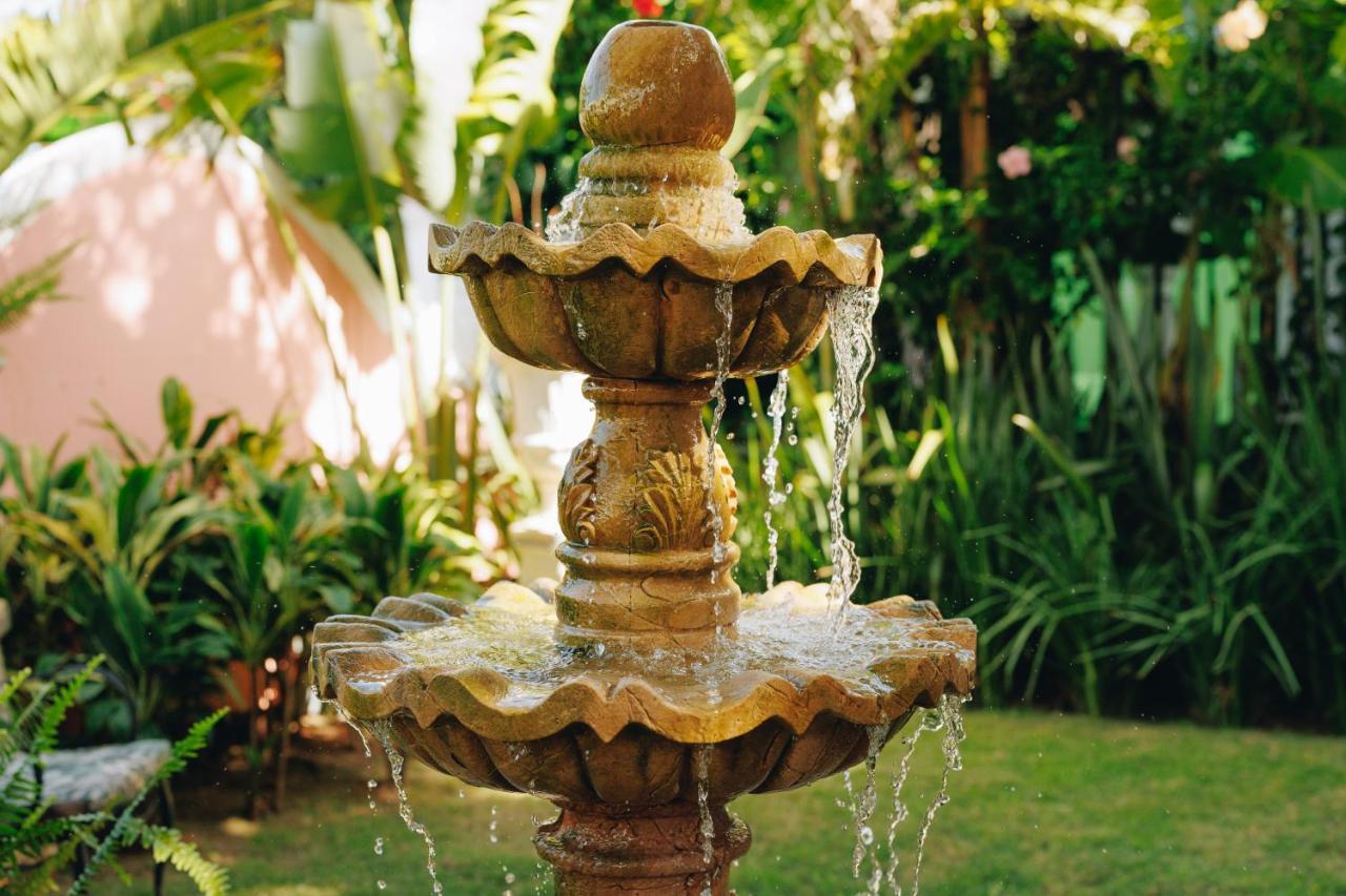 Hotel Boutique Quinta Das Videiras Florianópolis Esterno foto